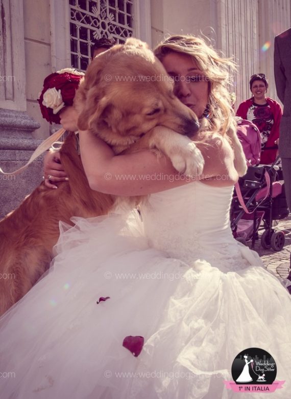 WEDDING DOG SITTER VARESE, COMO, SVIZZERA071