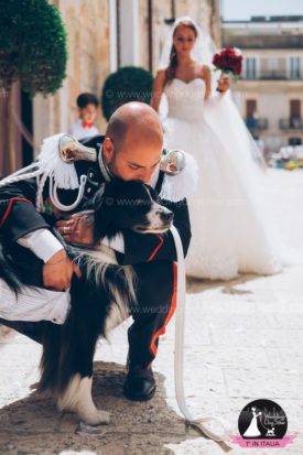 www.weddingdogsitter.com-matrimonio-con-il-cane-bari-bordie-collie-91