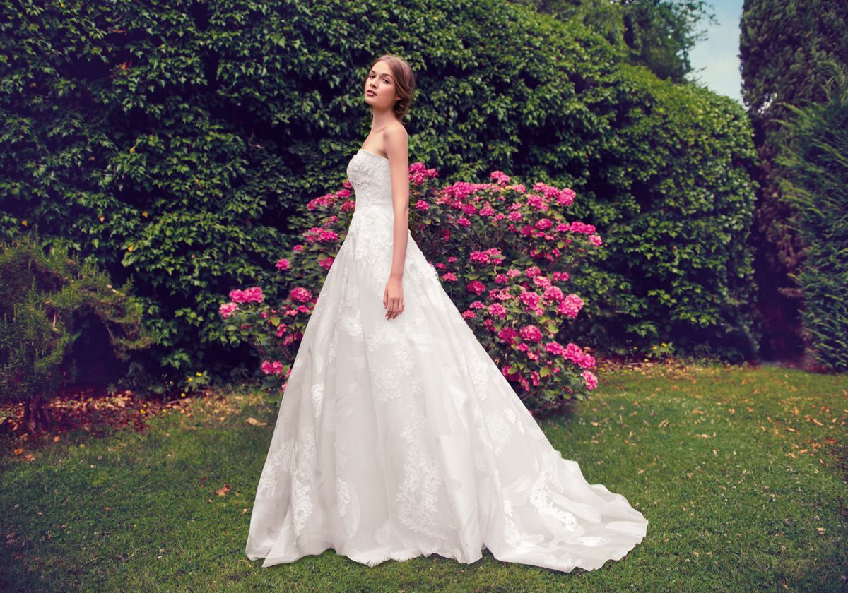 Nuova collezione Giuseppe Papini