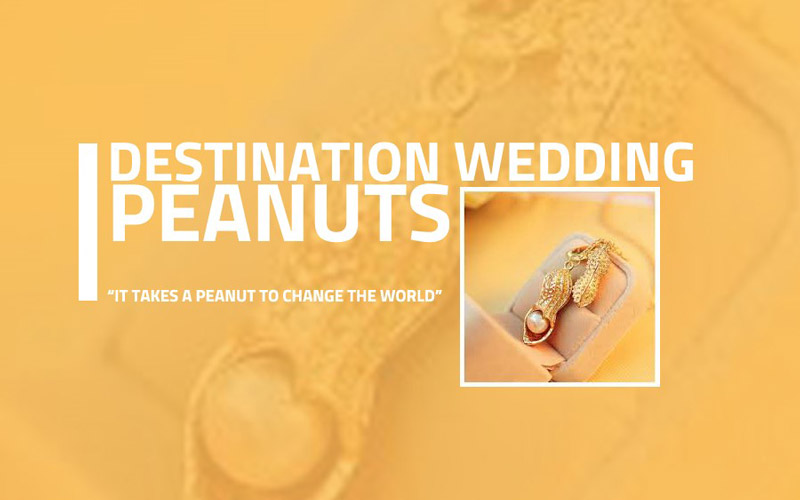 Destination Wedding Peanuts