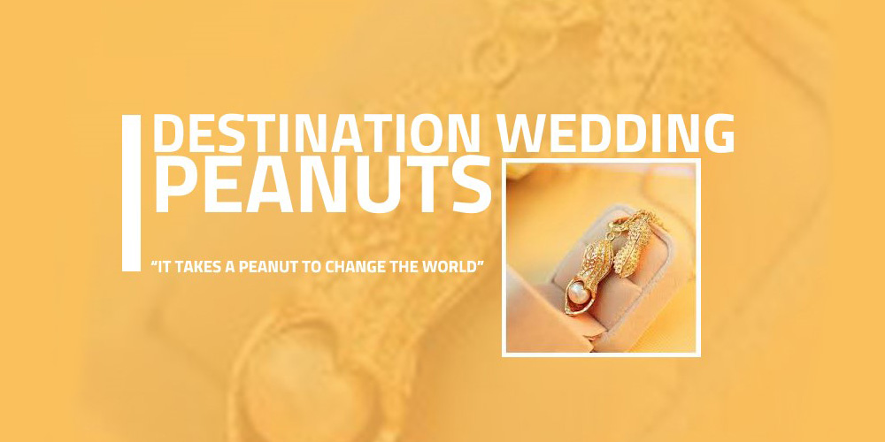 Destination Wedding Peanuts