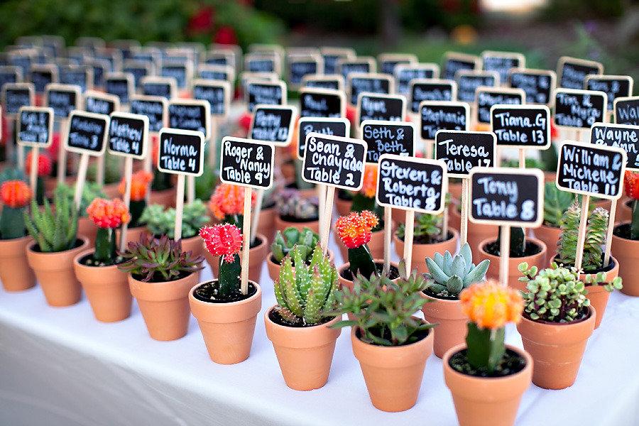 In questa foto un tableau de mariage con piccole piante grasse in vaso. Ad ogni piantina è associato il nome di un ospite