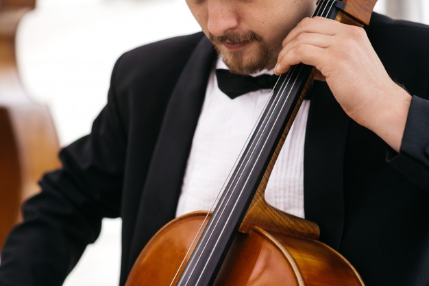 In questa foto un professionista di musica per matrimonio suona il violoncello