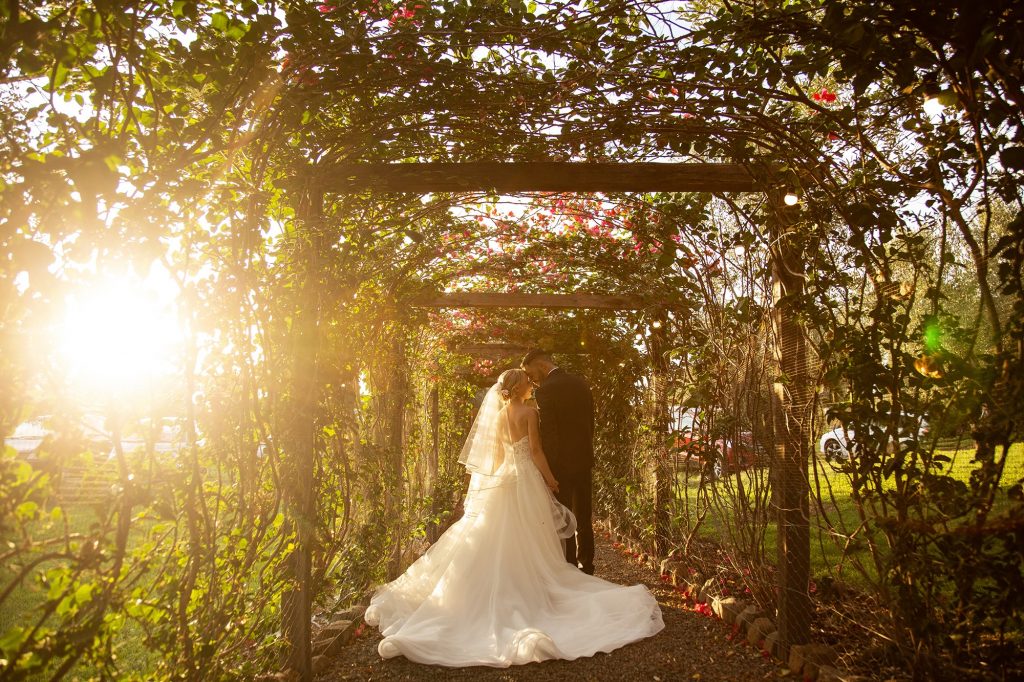 In questa foto di Entire for Wedding la coppia cammina felicemente immersa nel verde 