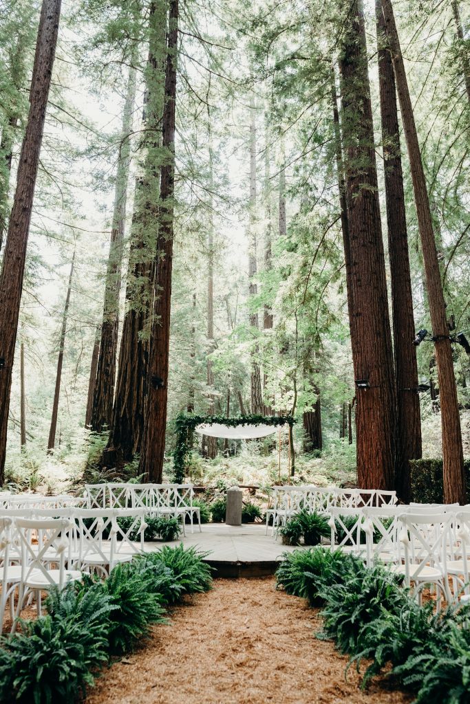 In questa foto l'allestimento di un matrimonio civile in una pineta. Lungo il corridoio sono disposte sul terreno composizioni di felci poste accanto a sedie di legno bianco. Alla fine della navata è presente una piattaforma di legno sul quale è posto un gazebo di legno e foglie su cui è adagiato un lenzuolo bianco