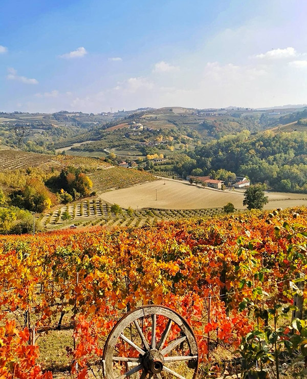 In questa foto un paesaggio autunnale nelle Langhe