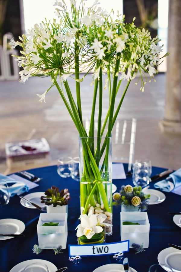 In questa foto un centrotavola con agapanthus bianchi su un tavolo con tovagliato blu