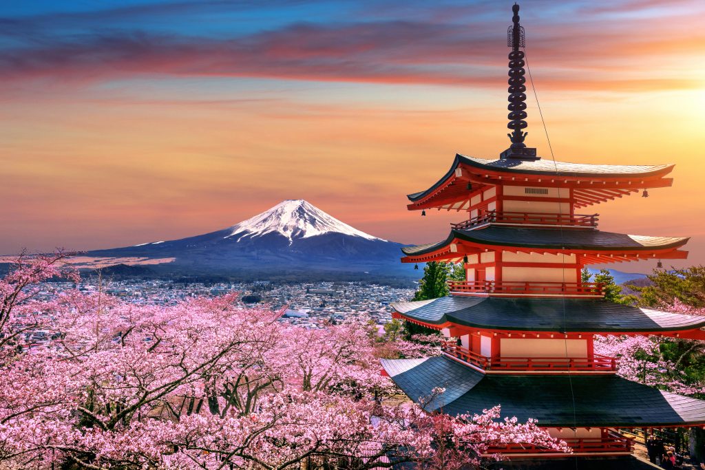 In questa foto la Pagoda Chureito di Tokyo circondata dai ciliegi in fiore con sullo sfondo il Monte Fuji, da visitare durante un viaggio di nozze