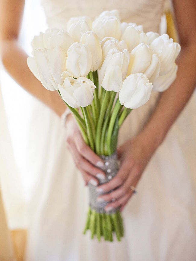 In questa foto le mani di una sposa che stringono un bouquet di tulipani bianchi