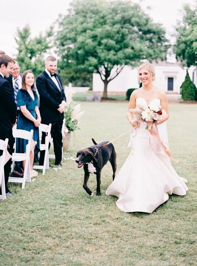 In questa foto una sposa fa il suo ingresso alla cerimonia civile su un prato con il suo cane