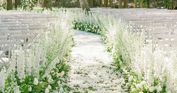 In questa foto, una passerella all'aperto realizzata ai lati con composizioni di delphinium e rose bianche e al centro petali bianchi per un tappeto naturale suggestivo