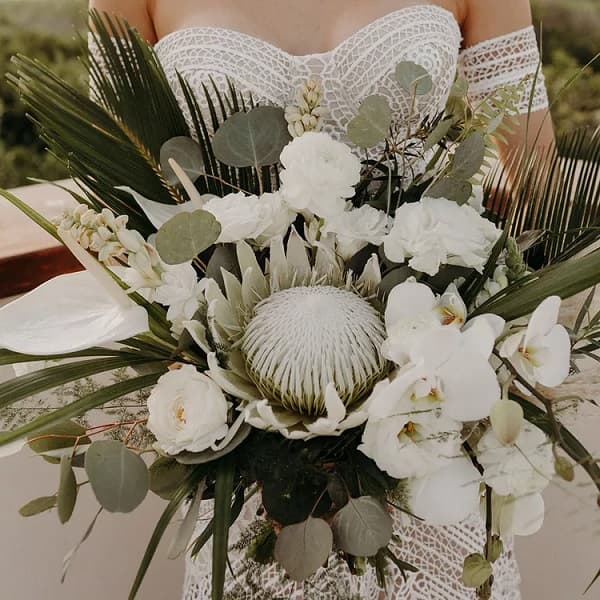 In questa foto, una sposa tiene in mano un bouquet total white con al centro un esemplare di protea, arricchito da orchidee, rose, spatifillo e foglie verdi