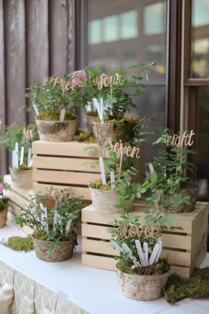 In questa foto una tableau matrimonio originale con vasi di erbe aromatiche disposte su cassette di legno