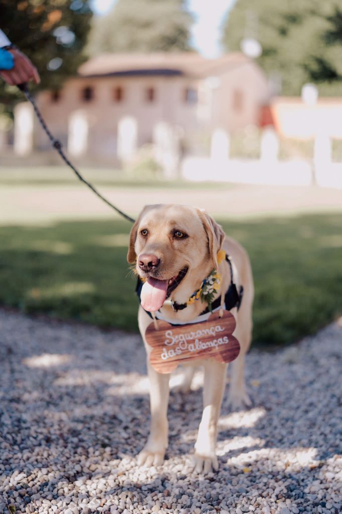 Villa Ormaneto accoglie anche i cani