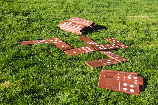 In questa foto alcune tessere del domino di legno sul prato