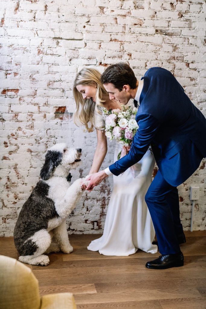 In questa foto due sposi con l'aiuto di un Wedding Dog Sitter si abbassano per tenere la zampa al loro cane