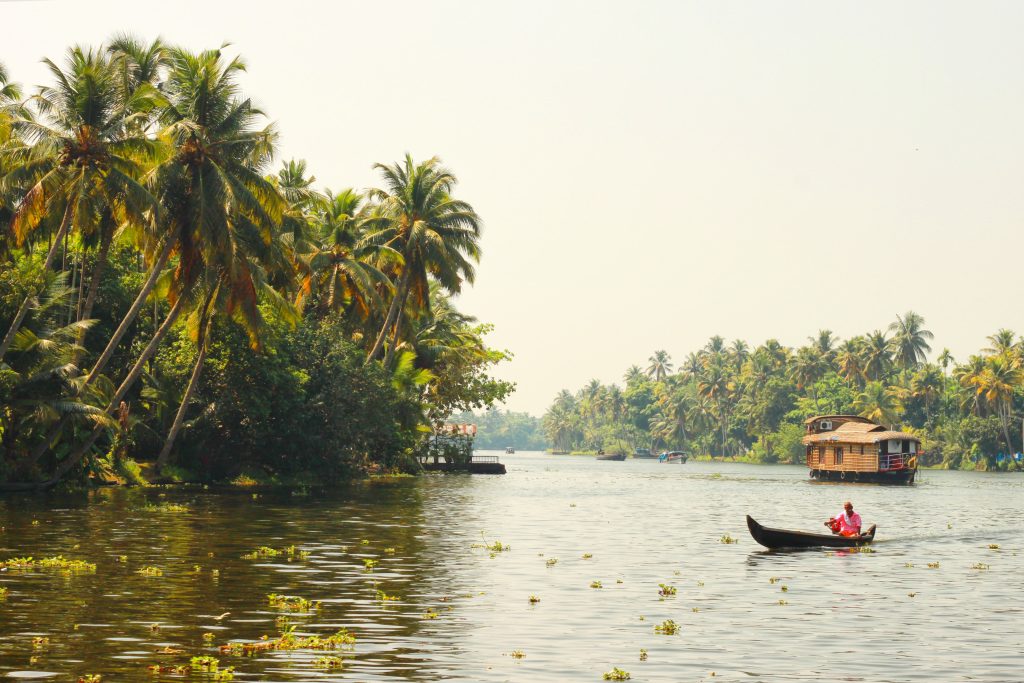 In questa foto un fiiume della regione del Kerala. A destra è mostrata una folta vegetazione di palme; sul fiume un'imbarcazione guidata da un abitante del luogo. In fondo è presente anche un battello di legno