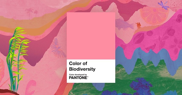 In questa foto, la palette rosa brillante, colore della Biodiversità secondo Pantone