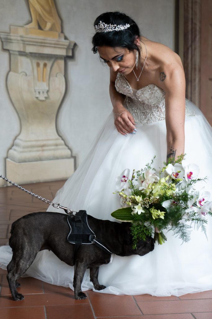 In questa foto una sposa con il suo cane
