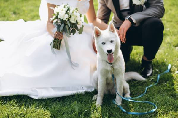 In questa foto una coppia di sposi con il proprio cucciolo