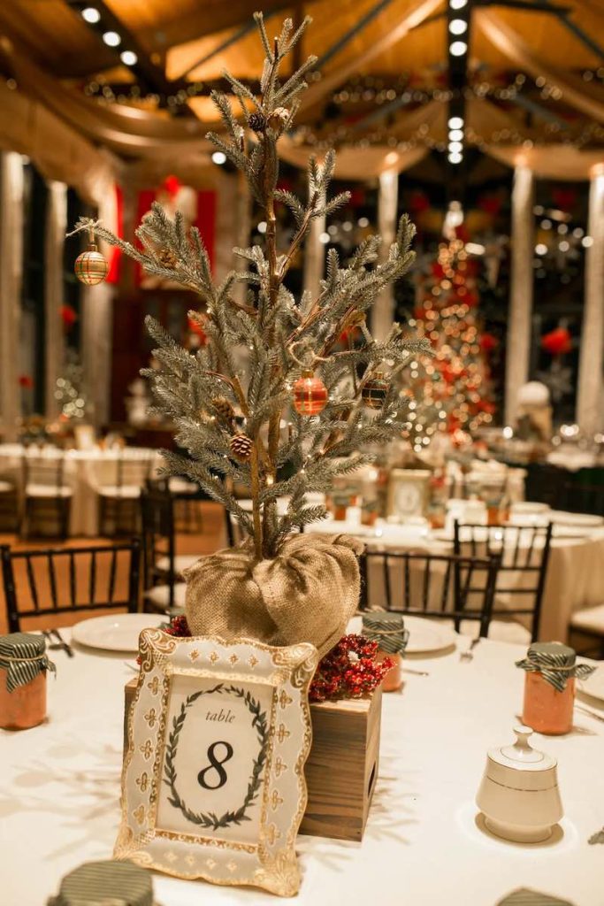 In questa foto un centrotavola per matrimonio a tema Natale composto da un piccolo albero decorato con palline e pigne. Alla base è presente un segnatavolo con cornice di colore oro e bianco 