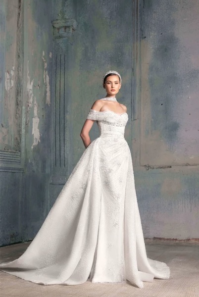 In questa foto una modella indossa uno splendido abito da sposa La Mariée 2023 di Tony Ward