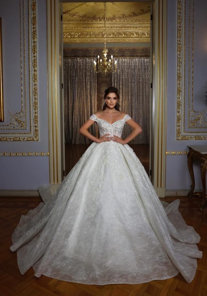 In questa foto una modella indossa un abito da sposa Dovita Bridal 2023 dai volumi maxi in pizzo chantilly e ricami su tutto l'abito. L'abito presenta uno scollo a cuore e maniche all over