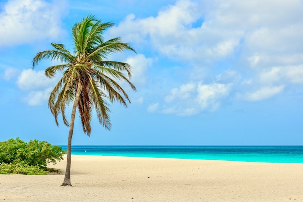 In questa foto, la spiaggia di Eagle Beach, ad Aruba, una delle isole dei Caraibi. In generale, le isole dei Caraibi sono la meta mare perfetta per i viaggi di nozze 2023 che si sviluppano lungo le Americhe