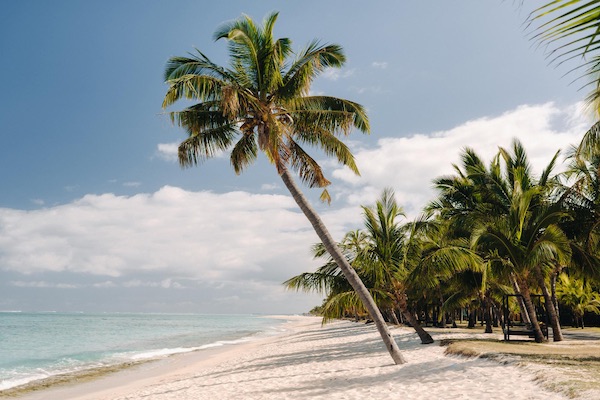 In questa foto la spiaggia con le palme alle Mauritius, tra le isole per i viaggi di nozze 2023 più belle