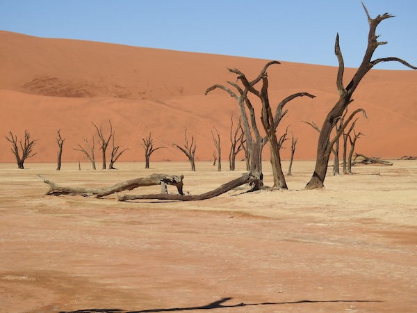 Un'immagine del deserto a Deadvlei, in Namibia
