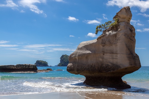 In questa foto uno scorcio di Cathedral Cove, in Nuova Zelanda