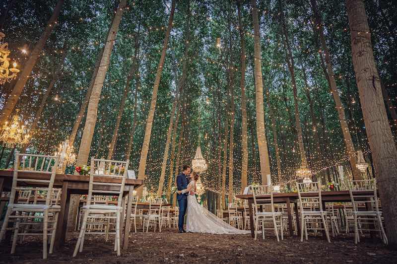 In questa foto un campo totale di un allestimento per matrimonio in un bosco con tavoli imperiali disposti a spina di pesce sopra i quali pende un tetto di luci