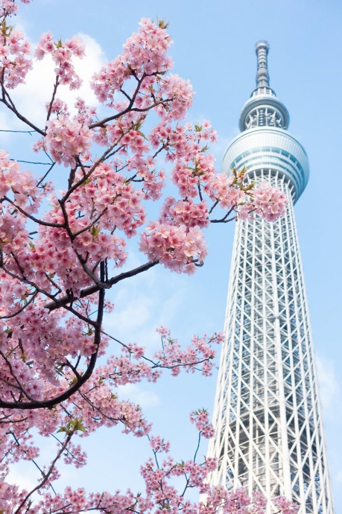 In questa foto uno scorcio di Tokyo, in Giappone, meta che rientra tra le destinazioni di viaggio di nozze Turisanda 2023