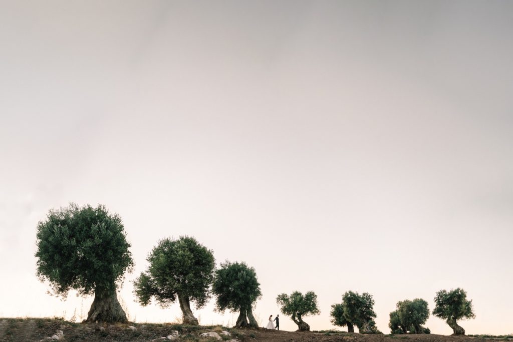 In questa foto un paesaggio della Puglia con diversi alberi in cui compaiono in miniatura gli sposi: lo scatto è stato realizzato da Federica Ariemma, tra i fotografi di matrimonio a Bari di ANFM