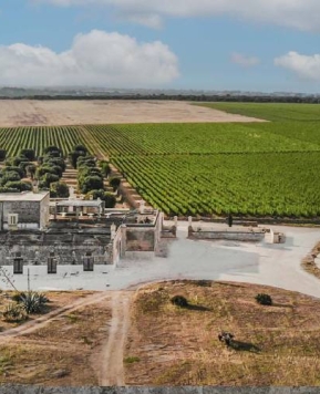 Masseria Cuturi 1881: un viaggio nel cuore della Puglia