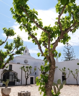 Masseria Montalbano, un’elegante oasi di storia e amore in Puglia