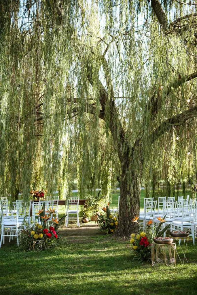 In questa foto il dettaglio della location della cerimonia simbolica delle nozze di Silvia e Alessandro celebrata sotto al salice piangente del parco di Corte Ortalli