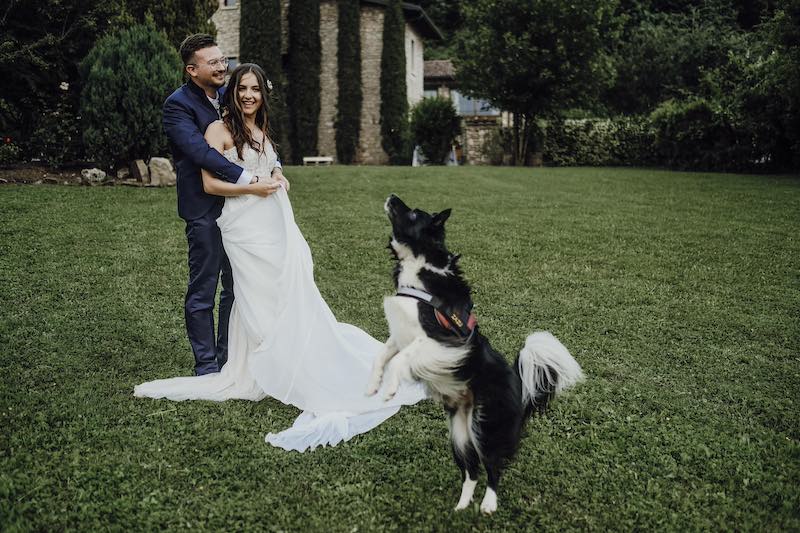 In questa foto di Fabio Betelli due sposi su un prato mentre il loro cane di razza Border Collie salta 