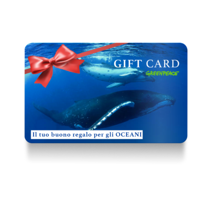 In questa foto regalo testimoni di nozze  gift card greenpeace