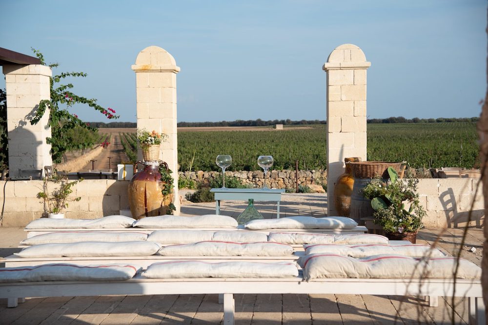 In questa foto uno scorcio dei vigneti di Masseria Cuturi, in Manduria, nel Salento, tra le 25 migliori Destination Wedding Location in Italia