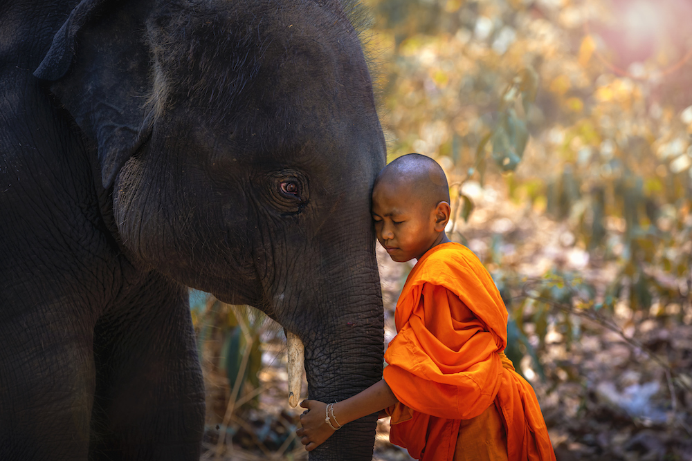 In questa foto un bambino abbraccia un elefante all'Elephant Sanctuary, in Thailandia. Si tratta, senza dubbio, di una delle esperienze di viaggio da fare nella vita  
