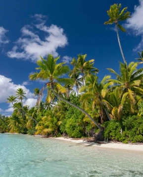 Viaggio di nozze Maldive e altre mete mare, un sogno che diventa realtà