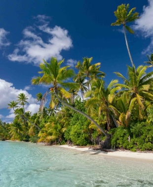 Viaggio di nozze Maldive e altre mete mare, un sogno che diventa realtà