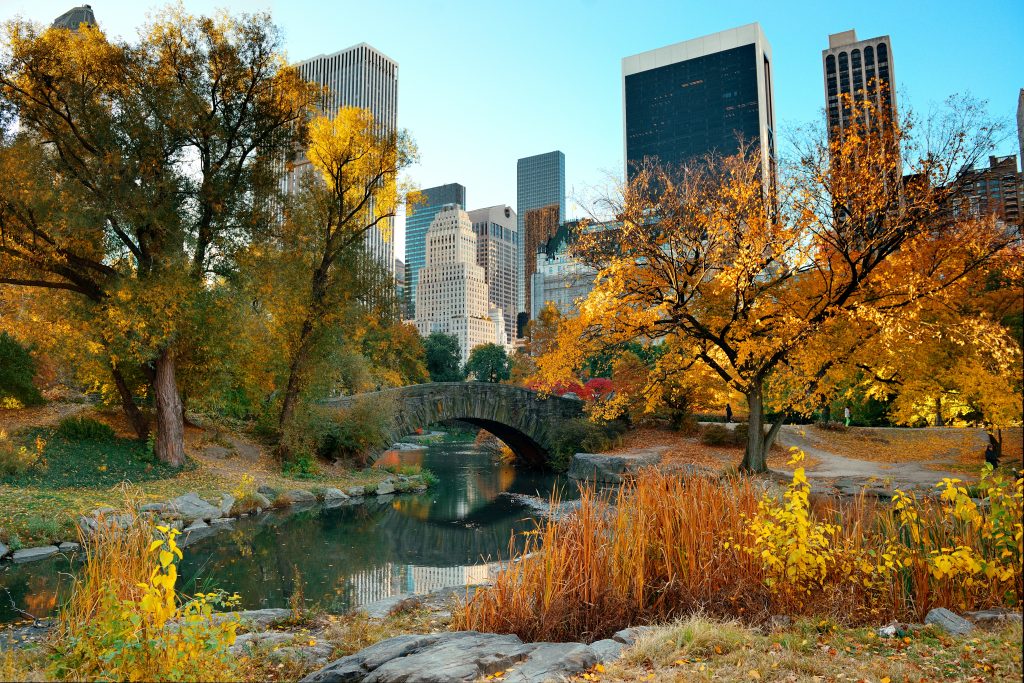 Central Park a New York per il viaggio di nozze Stati Uniti 