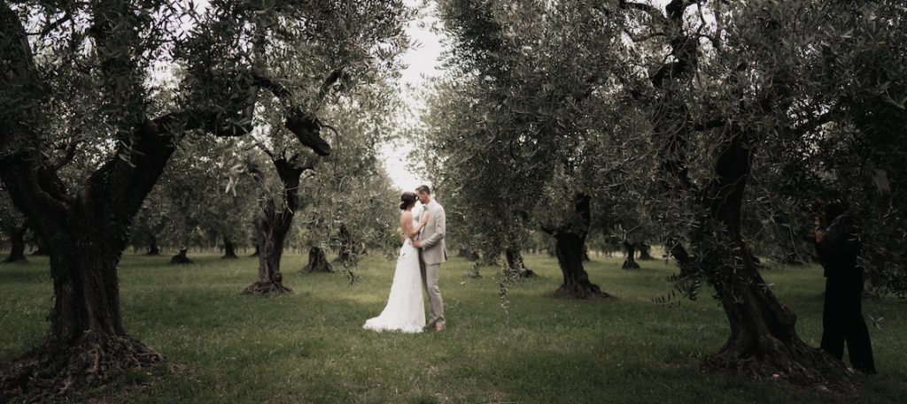 In questa foto di Federico Gritti, due sposi abbracciati in un campo di ulivi