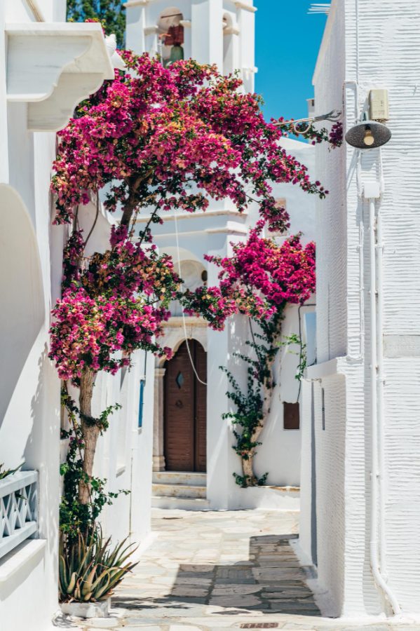 In questa foto una delle pittoresche stradine di Tinos, in Grecia