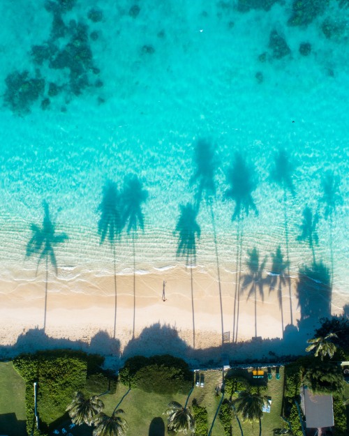 Inquadratura verticale dall’alto di una spiaggia di sabbia dorata lambita da acque turchesi e cristalline. Alte palme proiettano lunghe ombre sulla spiaggia, mentre una singola figura umana cammina vicino alla riva. In basso, il verde della vegetazione tropicale circonda alcune strutture turistiche.
