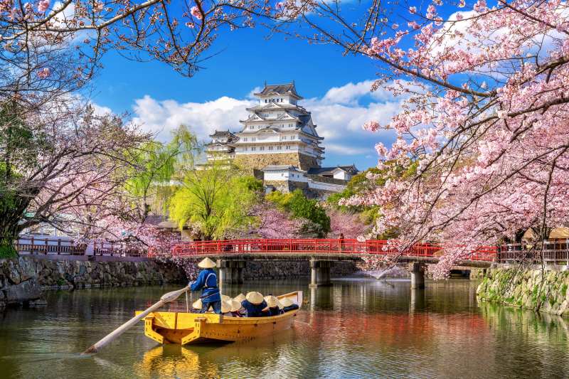 Scena primaverile con ciliegi in fiore, un castello bianco in stile tradizionale sullo sfondo e una barca in legno con rematori in abiti giapponesi su un canale calmo.