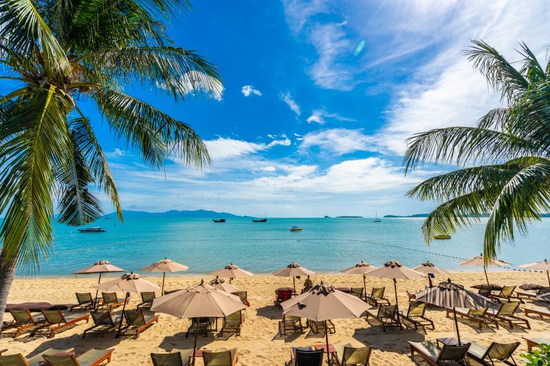 Spiaggia sabbiosa con palme e numerosi ombrelloni e sdraio. Il mare è calmo e azzurro, con barche all’orizzonte sotto un cielo limpido e soleggiato.