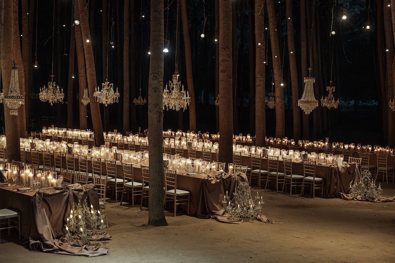 In questa foto un allestimento di matrimonio in foresta realizzato nei colori della terra con tavoli imperiali e lampadari in cristallo